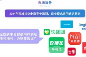 新的拼团电商平台、新的拼团电商平台是什么
