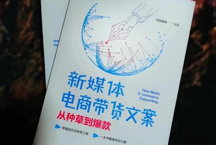 自媒体电商的概念（自媒体电商的概念界定）