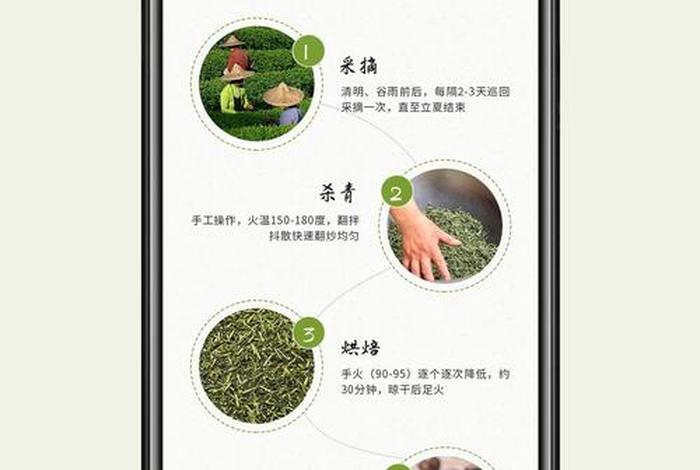 搜索电商新手入门教程茶叶类目、茶叶电商项目策划书 搜索电商新手入门教程茶叶类目、茶叶电商项目策划书