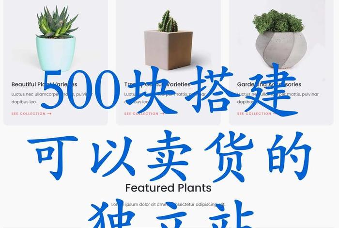 独立站卖家、独立站卖家排名