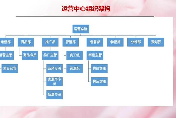 电商商务的主要工作 电商商务的主要工作内容 电商商务的主要工作 电商商务的主要工作内容