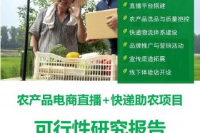 农村电商直播基地（农村电商直播基地申报方案补助）