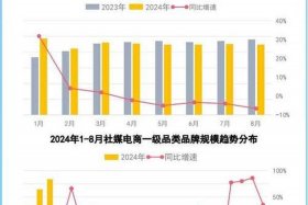 电商占零售市场的份额，电商占零售市场的份额怎么算
