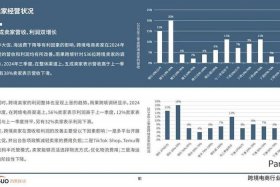 跨境电商销售数据分析（跨境电商数据图表）