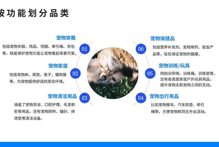 中国跨境电商宠物用品市场分析、宠物用品跨境电商公司 中国跨境电商宠物用品市场分析、宠物用品跨境电商公司