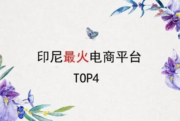 印尼电商平台排名 - 印尼电商平台排名榜 印尼电商平台排名 - 印尼电商平台排名榜