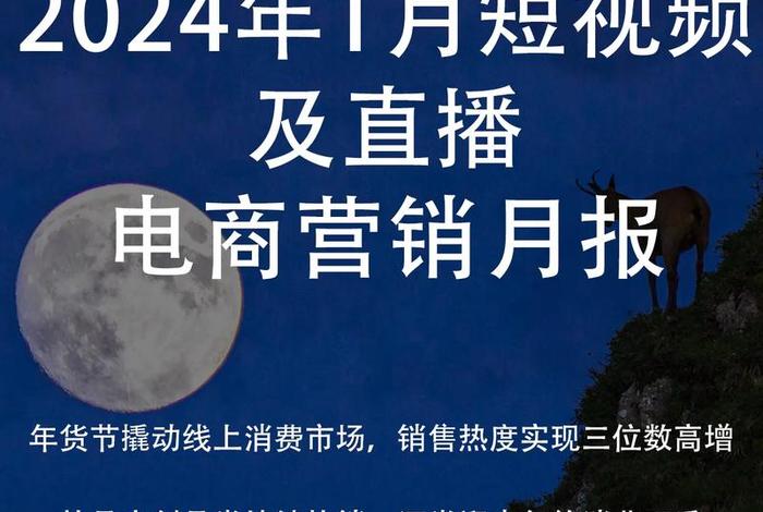 电商视频是什么意思、电商短视频是什么意思
