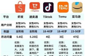 全国十大跨境电商公司排名虾皮跨镜电商，全国排名前十的跨境电商公司