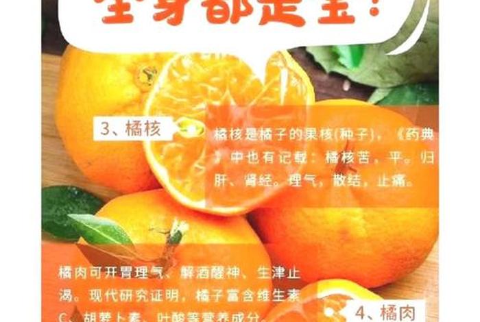 会员制电商平台一个橘子,会员制电商平台一个橘子能赚多少 会员制电商平台一个橘子,会员制电商平台一个橘子能赚多少