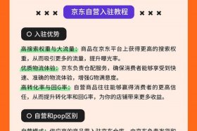 电商平台入驻推广（电商平台入驻推广费用）