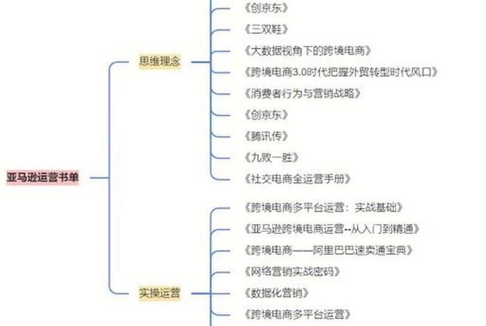 电商运营自学全套教程亚马逊 亚马逊电商运营课程 电商运营自学全套教程亚马逊 亚马逊电商运营课程