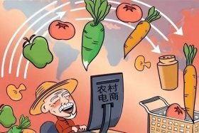 农村电商平台，农村电商平台图片