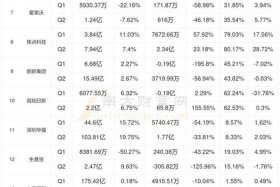 电商企业有哪些上市（电商企业有哪些上市公司）