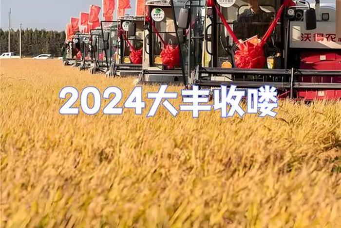 大丰收168农资电商平台(大丰收农资平台下载) 大丰收168农资电商平台(大丰收农资平台下载)
