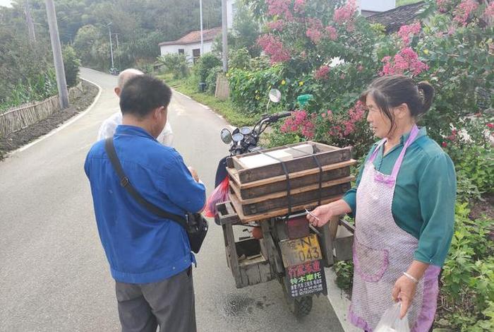 电商山里人（山里人电商）