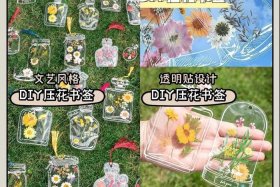 亚马逊电商怎么做干花标本（亚马逊标签怎么做）