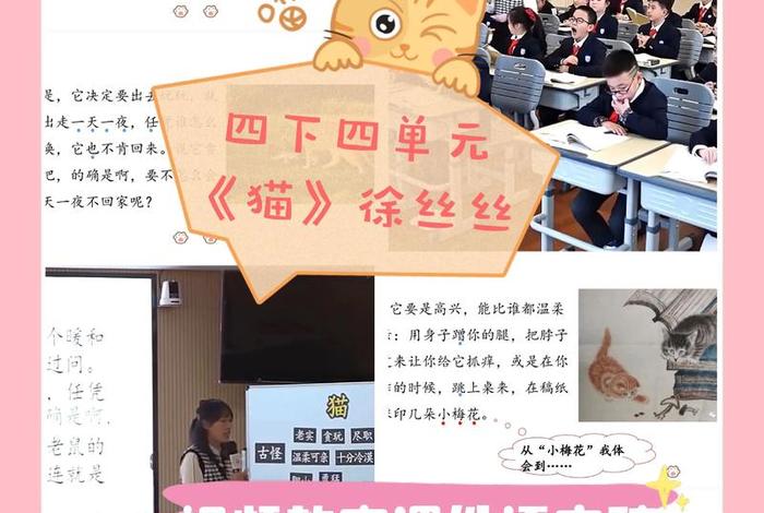 猫课电商全套 猫课电商全套下载