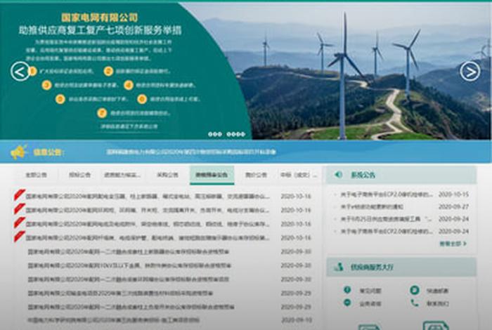 国家电网2.0电子商务平台(国家电网2.0电子商务平台网址) 国家电网2.0电子商务平台(国家电网2.0电子商务平台网址)