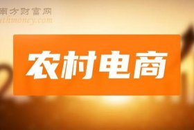 农村电商平台是什么意思、农村电商平台是什么意思啊