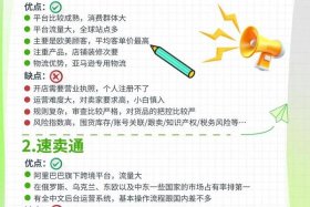 出口电商平台哪些适合个人、出口电商平台哪些适合个人做