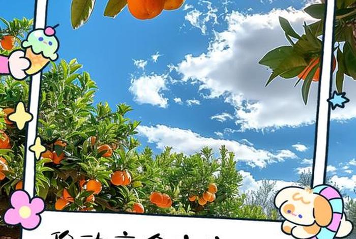 移动电商文案;移动电商文案写作 移动电商文案;移动电商文案写作