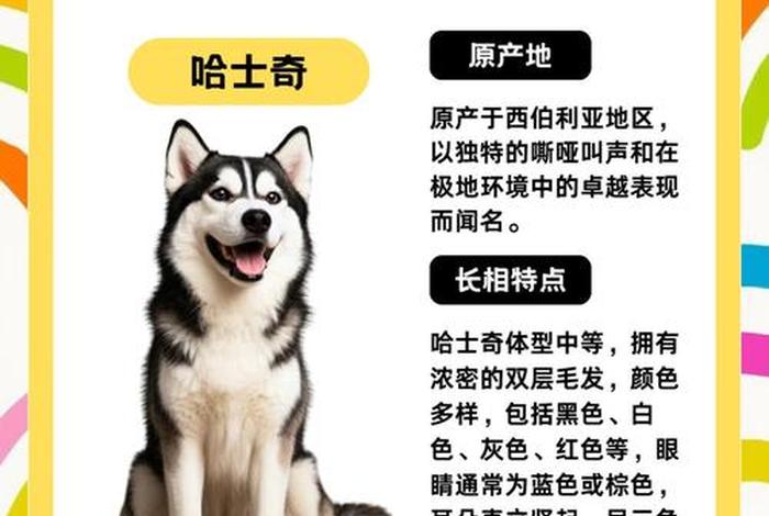 哈士奇电商插件怎么使用 - 哈士奇电商插件怎么使用教程 哈士奇电商插件怎么使用 - 哈士奇电商插件怎么使用教程