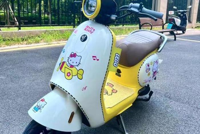 二手车电动车 咸鱼二手车电动车