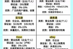 跨境电商新手入门 怎样做跨境电商新手入门