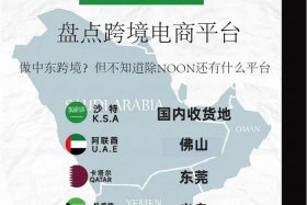 中东电商平台排行榜，中东电商平台排行榜tk