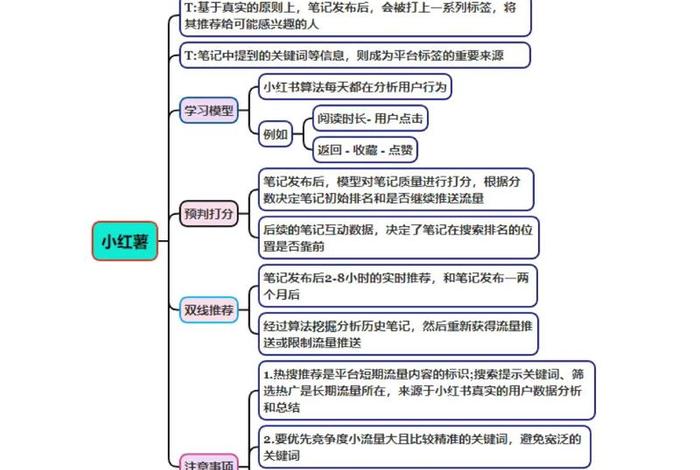 流量电商的运营逻辑(流量电商的运营逻辑是什么) 流量电商的运营逻辑(流量电商的运营逻辑是什么)