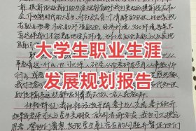 关于电商职业发展与就业自我诊断报告，关于电商职业发展与就业自我诊断报告