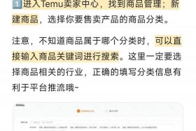 temu跨境电商怎么做、temu跨境电商怎么做？