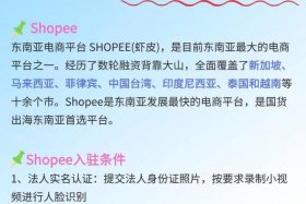 东南亚跨境电商有哪些平台（东南亚跨境电商有哪些平台首推shopee）