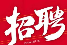 中山电商招聘，中山电商招聘网