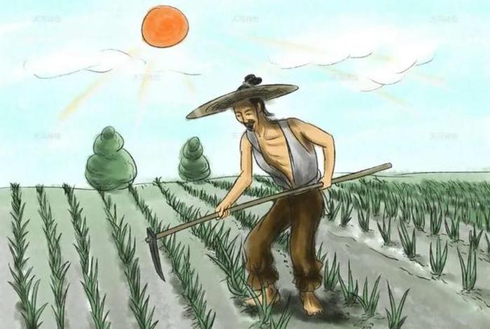 佃农理论;佃农理论作者 佃农理论;佃农理论作者