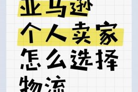 亚马逊做跨境电商物流找谁 - 亚马逊做跨境电商物流找谁做