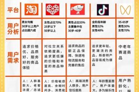 什么是微电商平台；微电商是做什么的