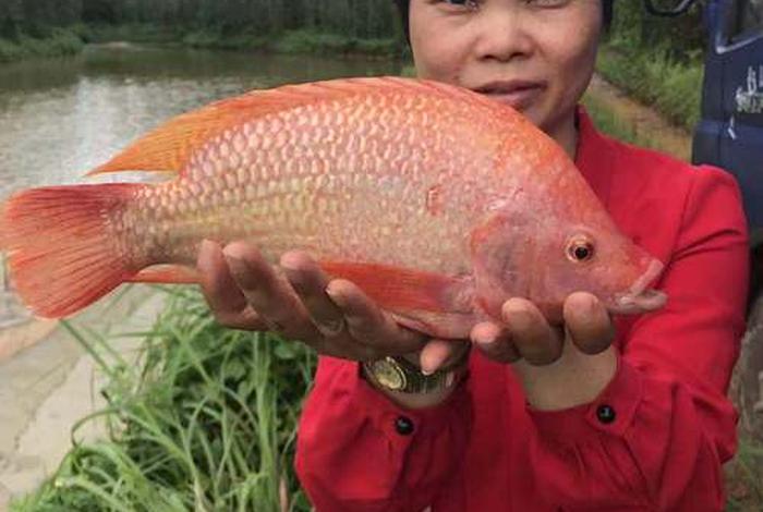 飞鱼电商万载 - 飞鱼电商万载店地址 飞鱼电商万载 - 飞鱼电商万载店地址