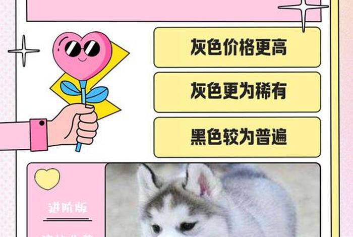 哈士奇电商插件网址获取、哈士奇插件官网 哈士奇电商插件网址获取、哈士奇插件官网