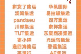 电商平台集运公司（电商平台集运公司排名）
