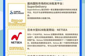 日本主流电商平台；日本主流电商平台有哪些