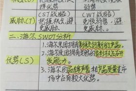 内容电商案例分析报告2000字（电商营销案例100例分析）