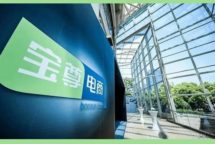 宝尊电商是国企吗(宝尊电商是国企吗还是私企) 宝尊电商是国企吗(宝尊电商是国企吗还是私企)