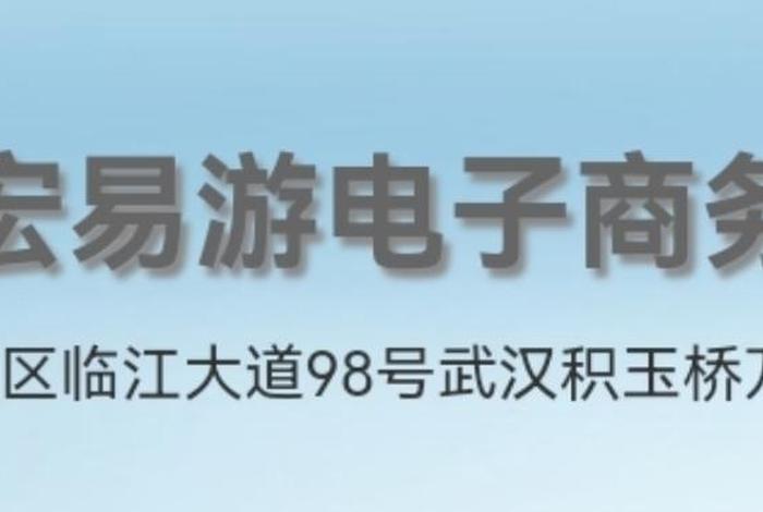 武汉电商平台公司 武汉电商平台公司有哪些