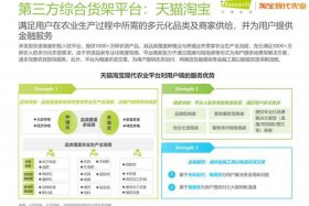 农产品电商飞速发展 - 农产品电商飞速发展的原因