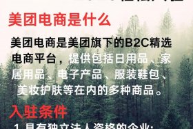 入驻电商个人还是企业；入驻电商个人还是企业赚钱