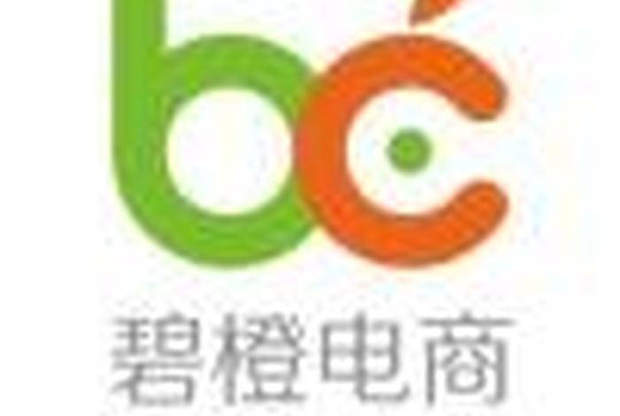 碧橙电商地址，碧橙电商地址查询