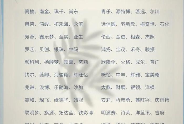 电商公司名称怎么起名意欲招财 - 电商公司名称怎么起名意欲招财的名字