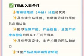 temu跨境电商入驻流程视频；netsuite 跨境电商