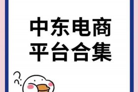 中东电商交易平台 中东电商交易平台官网